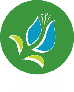 Tulipan Services